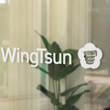 Adesivo WingTsun Logo Pugno – Sticker per Auto, Vetri e Laptop (10, 20, 30 cm)