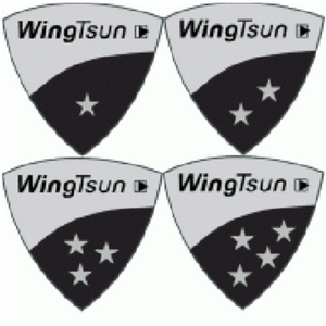 Wing Tsun technical grade
